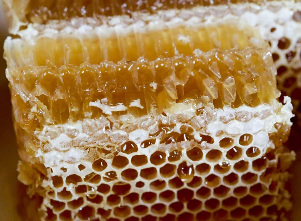 Tatlım, tatlı bal, lezzetli, arıcılık, petek, doğal ürünler