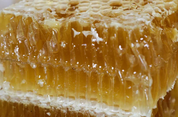 Tatlım, tatlı bal, lezzetli, arıcılık, petek, doğal ürünler