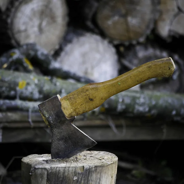 Thorpor Log Work Chop Wood — Stock Photo, Image