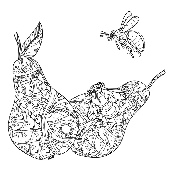 Honung päron doodle och bin — Stock vektor