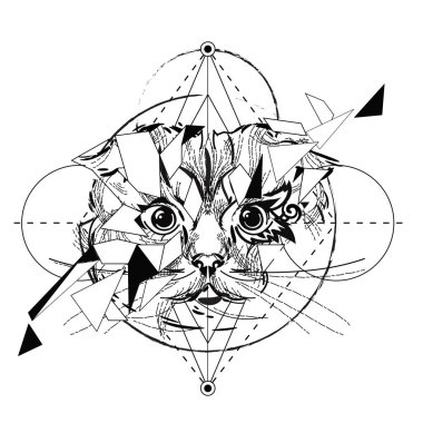 Kurt baş düşük Poli kroki.