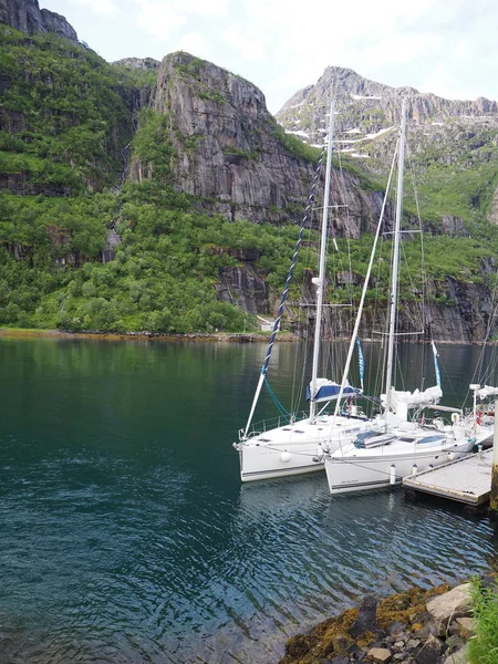 Widok na fiord Troll w Norwegii. Jacht. Norweski fiord. — Zdjęcie stockowe