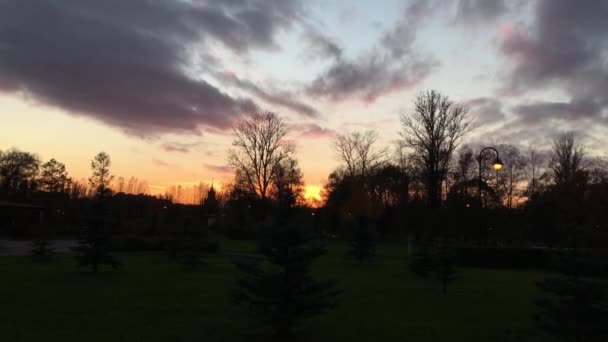 Вид на захід сонця в міському парку — стокове відео
