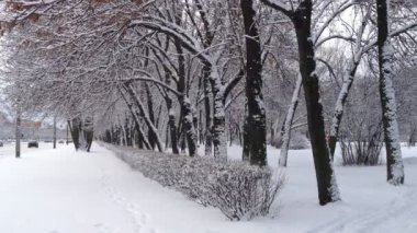 şehirde kış sahne