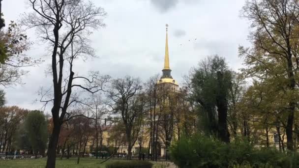 La aguja dorada del Almirantazgo en ramas de árboles. Rusia, San Petersburgo, 23 oct 2016 — Vídeo de stock