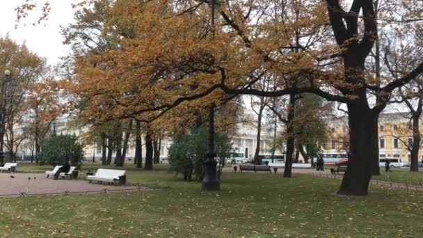 Φθινόπωρο πάρκο με φύλλα που πέφτουν — Αρχείο Βίντεο