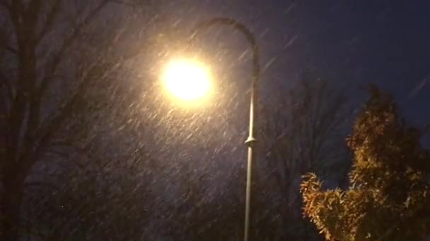 Важкий снігопад на тлі осінньої ялинки поруч з ліхтарем — стокове відео