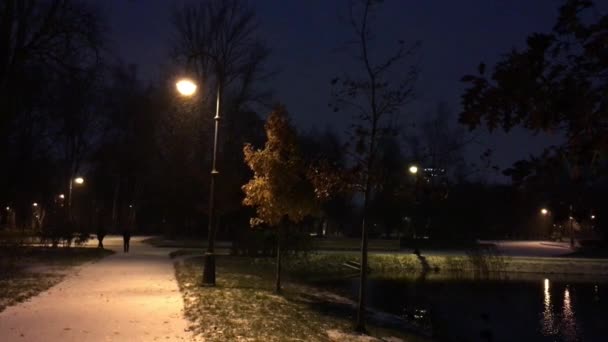 Ночная сцена в парке — стоковое видео