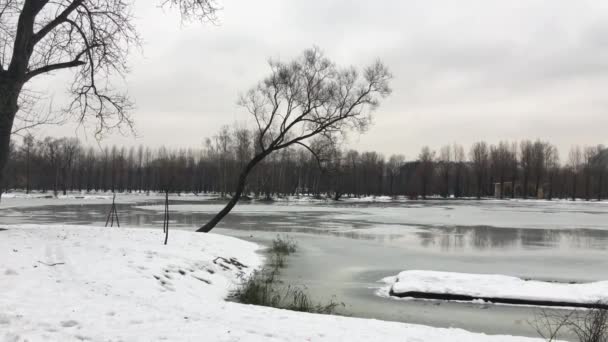 dégeler sur l'étang dans le parc 