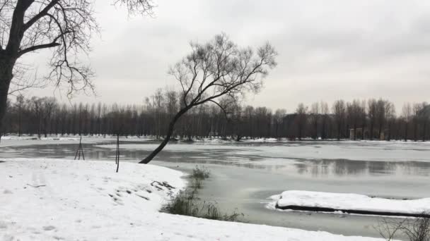 公園の池の雪解け — ストック動画