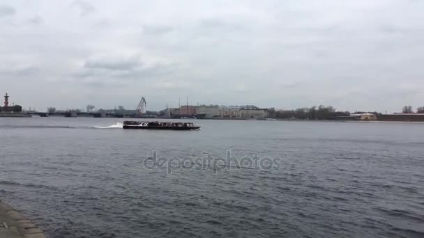 View of the Neva river. Russia, Saint-Petersburg, 23 Oct 2016 — Stock Video