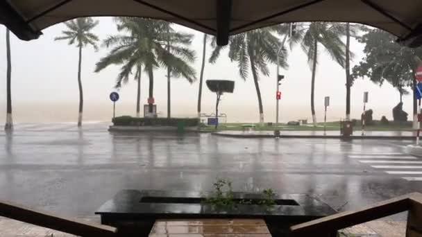 Forte chuva tropical. Vietnã, Nha Trang, 2 de dezembro de 2016 — Vídeo de Stock