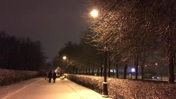 Vídeo en la ciudad Parque — Vídeo de stock