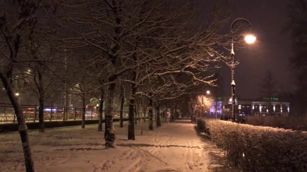 Güzel kış parkta. Rusya, Saint-Petersburg, 15 Ocak 2017 — Stok video
