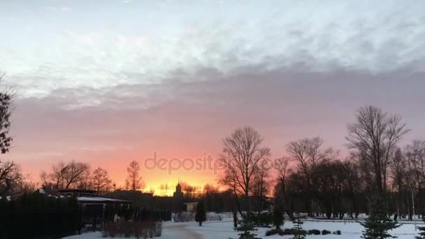 La vista de la hermosa puesta de sol en el parque de la ciudad — Vídeo de stock