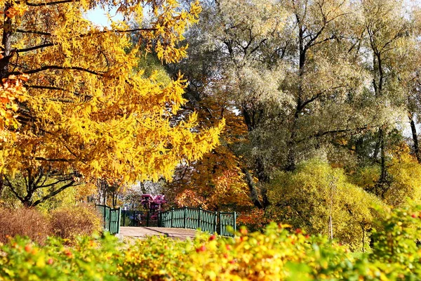 Park Jesień złota — Zdjęcie stockowe
