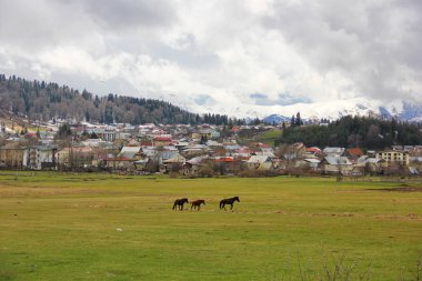 çim Bakuriani şehir arka planda atları ile