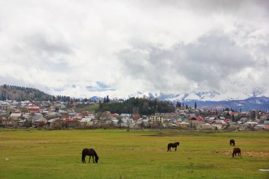 çim Bakuriani şehir arka planda atları ile