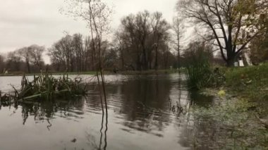 ördek havuzu suya kamerayı daldırma
