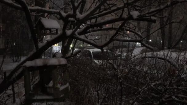 Alimentadores Aves Inverno Pendurado Nos Ramos Árvores Queda Neve Noite — Vídeo de Stock