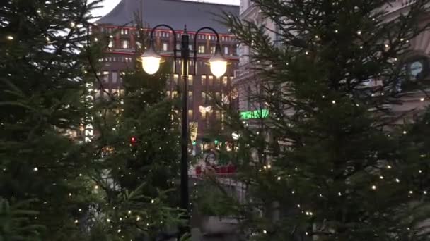 赫尔辛基 2017年12月9日 自然圣诞树装饰用黄色灯的仙女灯 一个手电筒与两个灯泡在一个棕色背景的建筑商店饲养员 — 图库视频影像