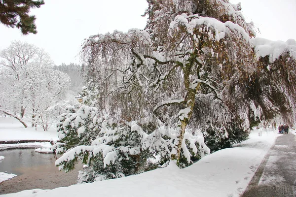Momento Bonito História Paisagem Jardim Inglês Inverno Muitas Árvores Cobertas — Fotografia de Stock