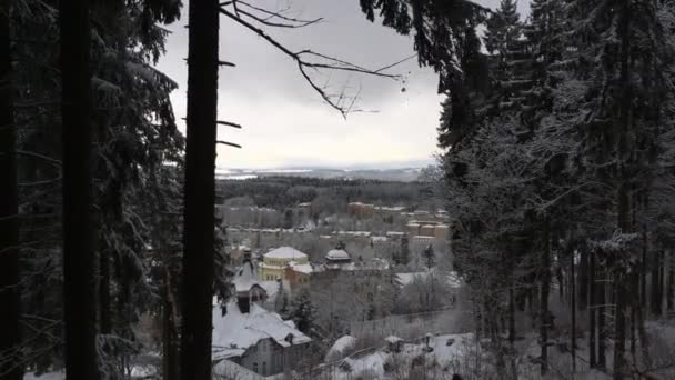 捷克共和国 玛丽亚马丽安司凯 1月19日2018 View 从度假村的观察甲板 历史建筑 旅馆和度假村 在针叶林的边缘 — 图库视频影像
