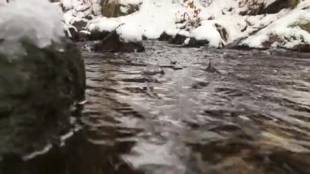 Pequeno Rio Inverno Vídeo Com Imersão Sob Água Água Limpa — Vídeo de Stock