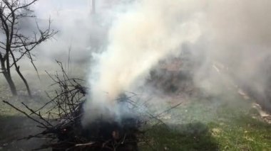 en büyük eğlencesi sakinlerinin tüm yaz, sahipleri ülke evleri, erken ilkbaharda, yanık kuru dalları, yaprakları, güçlü kalın duman her yöne geliştirir