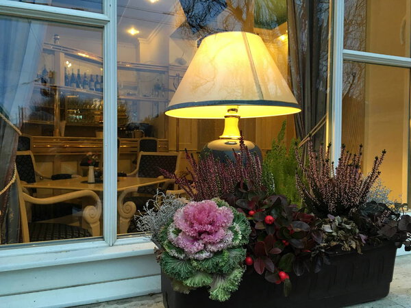 beautiful decoration of the windowsill in Europe, a floral arrangement with different types of plants, Heather, subspecies cabbage, winter, with the window of the caf, lamp, white furniture, table, bar, 