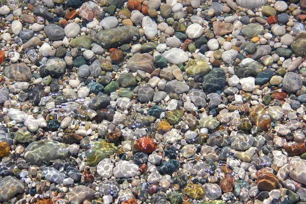 Colored Pebbles Beach Green Brown White Moistened Water Shine Shimmer — Stock Photo, Image