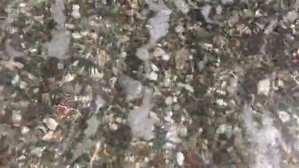 Відео Звук Шуму Моря Гальковому Пляжі Маленькі Камінці Різних Кольорів — стокове відео