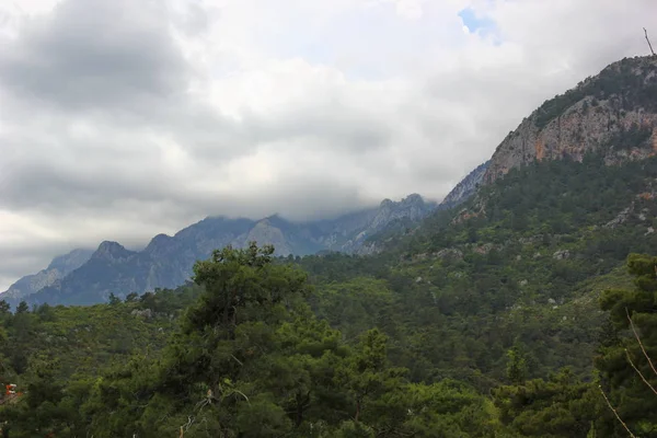 Berge Deren Nähe Dichte Dunkle Wolken Viele Grüne Bäume Nadelbäume — Stockfoto