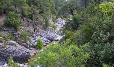 geçit, kayalık kıyıları akan dar dağ nehri görünümü, aralarında yaprak döken ve iğne yapraklı bitkiler, yeşil yapraklar, Türkiye'ye bir gezi büyümek başardık