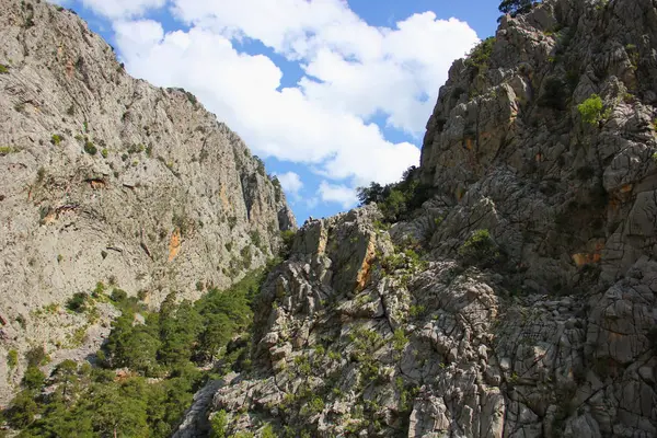 Majestätisch Hohe Berge Grauweiß Mit Vegetation Meist Nadelbäumen Schlucht Himmel — Stockfoto