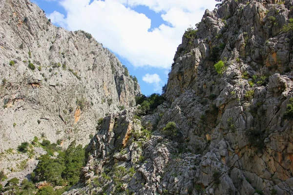 Majestätisch Hohe Berge Grauweiß Mit Vegetation Meist Nadelbäumen Schlucht Himmel — Stockfoto