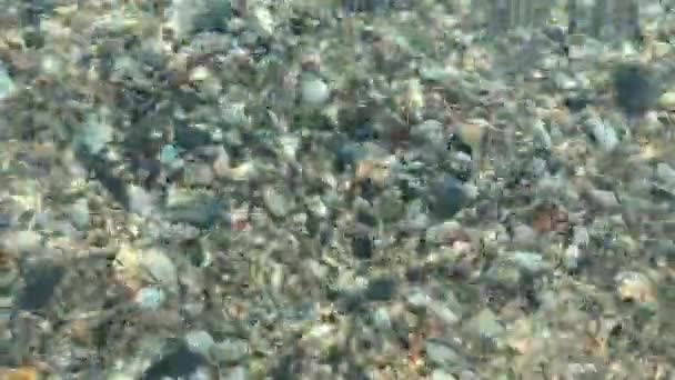 Όμορφο Στρογγυλό Βότσαλο Θέα Μέσα Από Καθαρό Νερό Της Θάλασσας — Αρχείο Βίντεο