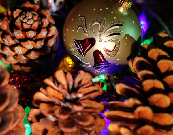 Composição Natal Cria Humor Feriado Cones Naturais Com Diferentes Tipos — Fotografia de Stock