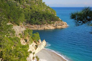 Turkuaz suyu olan bir körfezde gözlerden uzak bir sahil, çam ağaçlarıyla kaplı kayalar, kumsalda palmiye ağaçları beyaz ve sarı kumlar arasında, güzel doğa, Türkiye