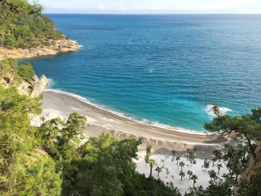 Dağın yakınındaki güzel körfez, temiz turkuaz suyu, kozalaklı bitkiler, kumsalda palmiye ağaçları, doğanın gözlerden uzak harika bir köşesi, Türkiye