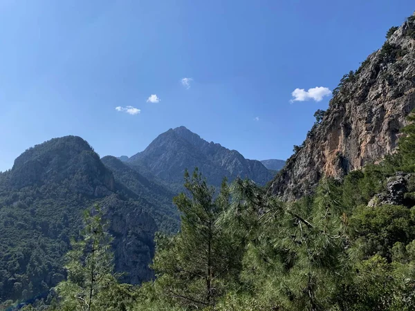 Berge Verschiedenen Entfernungen Verschiedene Typen Mit Bäumen Und Felsigen Scharfen — Stockfoto