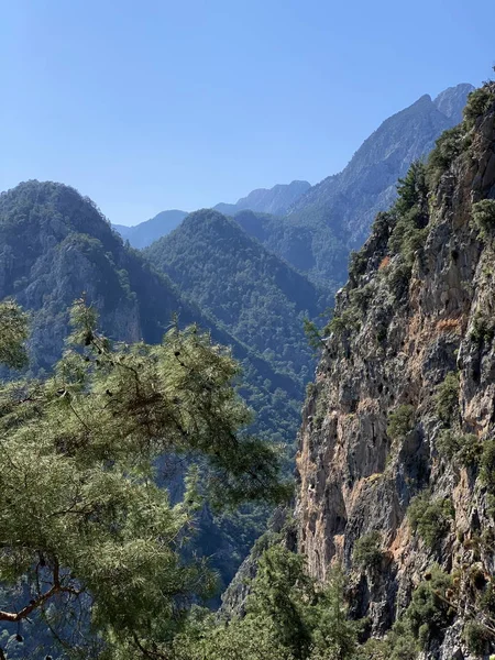 mountains at different distances, different types, with trees and rocky, sharp peaks and smooth peaks, fluffy pine in the foreground, a beautiful view of nature in the mountains