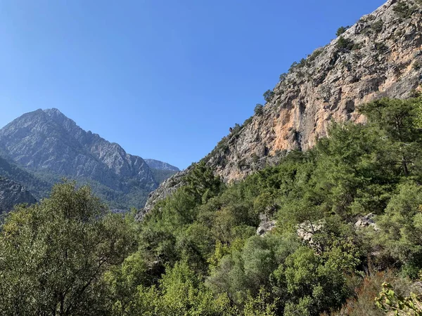 farklı uzaklıklardaki dağlar, farklı tipler, ağaçlar ve kayalıklar, keskin tepeler ve pürüzsüz tepeler, ön planda tüylü çam, dağlardaki güzel doğa manzarası