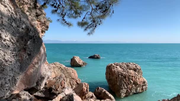 바다에서의 움직임 청록색 바위의 가장자리 꼭대기에 원추형의 솔방울이 소나무 아름다운 — 비디오