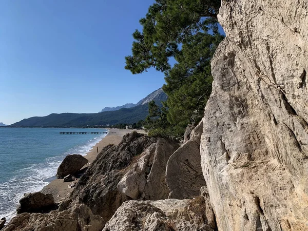 从岩石后面 你可以看到一个美丽的沙滩被海水冲刷 地平线上有群山 岩石中间有一棵松软的松树 — 图库照片