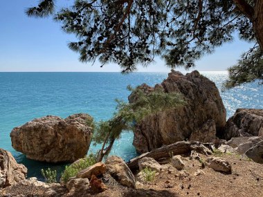 Kayalar, suda güneşten yansıyan güzel mavi deniz, kozalaklı bitki örtüsü, çam ağaçları, yazın bir parçası, tatil, güneşli hava