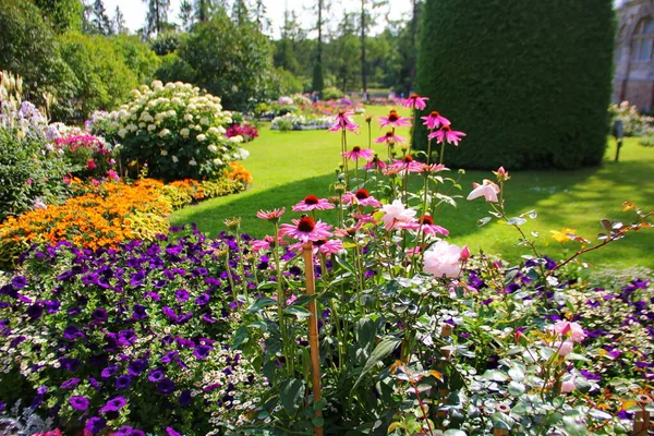 Lit Fleurs Avec Diverses Belles Fleurs Lumineuses Rouge Blanc Violet — Photo