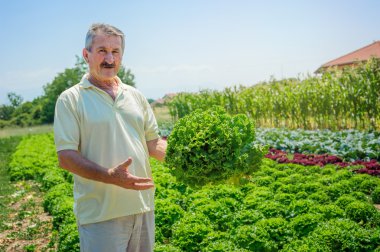 Çiftçi holding lahana eller