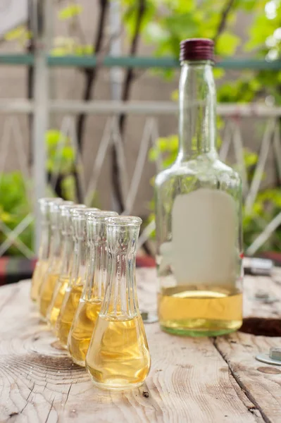 Бутылка сливового бренди с маленькими стаканами на деревянном столе — стоковое фото