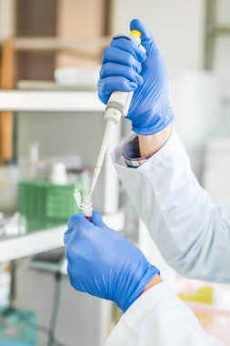 Pipetting bilimsel laboratuvar teknisyeni. Makro çekim